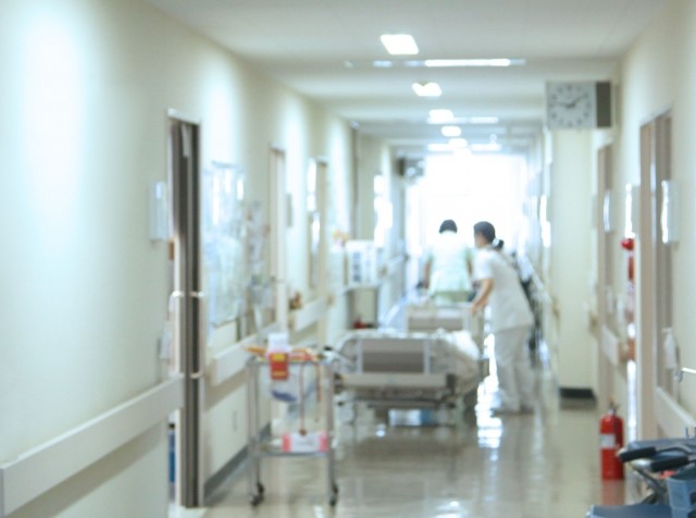 もしかしてノーベル賞級の大発見　体内に「iPS並み」の多能性幹細胞