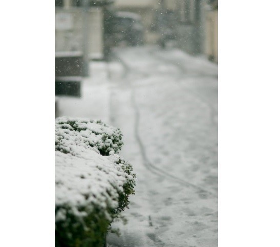 京都競馬中止でも女子駅伝決行　吹雪の白熱映像に大反響