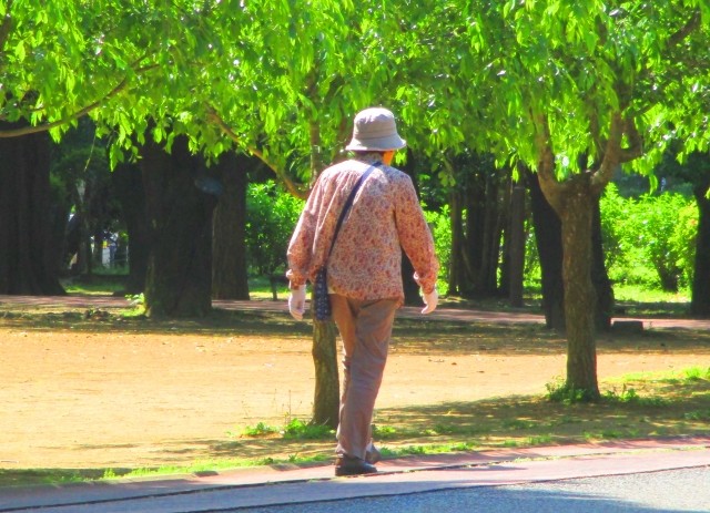 【男と女の相談室】半身麻痺の転倒回避に秘訣アリ　脳卒中患者のリハビリへ応用期待