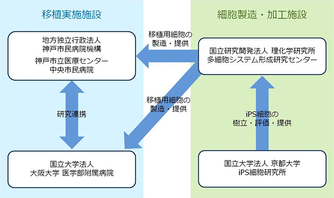 他人のiPS細胞で網膜再生手術　世界初の臨床研究に挑む