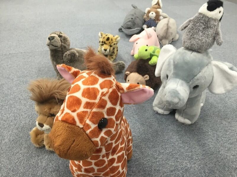 ぬいぐるみが仲良く絵本を読んだり、書店内を探検したり（岡崎義弘・岡山大学講師提供）