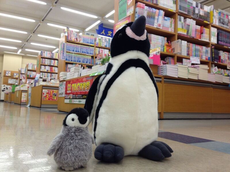 ぬいぐるみが仲良く絵本を読んだり、書店内を探検したり（岡崎義弘・岡山大学講師提供）