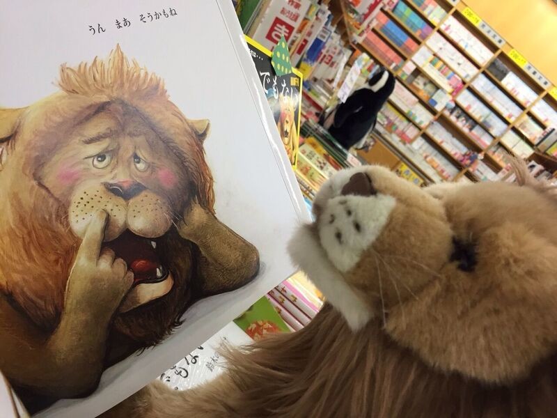 ぬいぐるみが仲良く絵本を読んだり、書店内を探検したり（岡崎義弘・岡山大学講師提供）