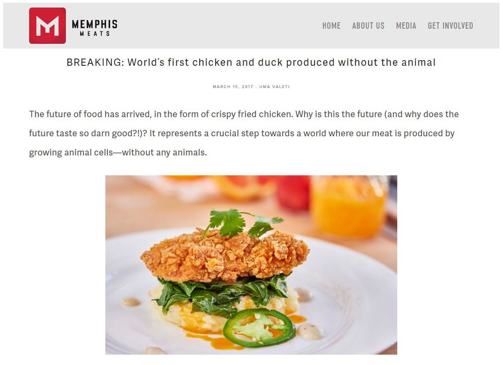 米企業、人工培養の鶏肉と鴨肉開発　食感は「スポンジ風」だが味は良い