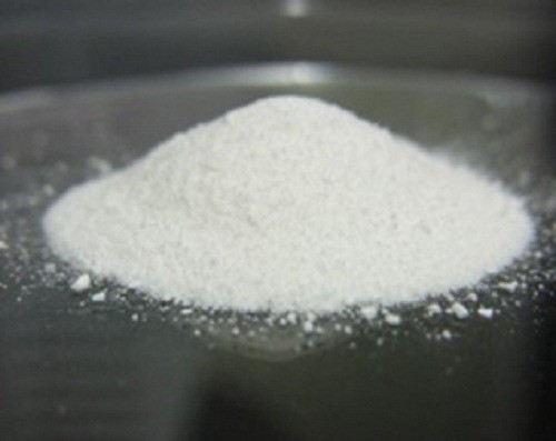 乳酸菌に腸内フローラ改善効果　「ロイコ菌」EPS、肥満抑制も