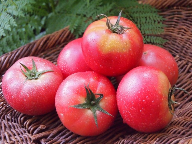 食べ方いろいろのトマト