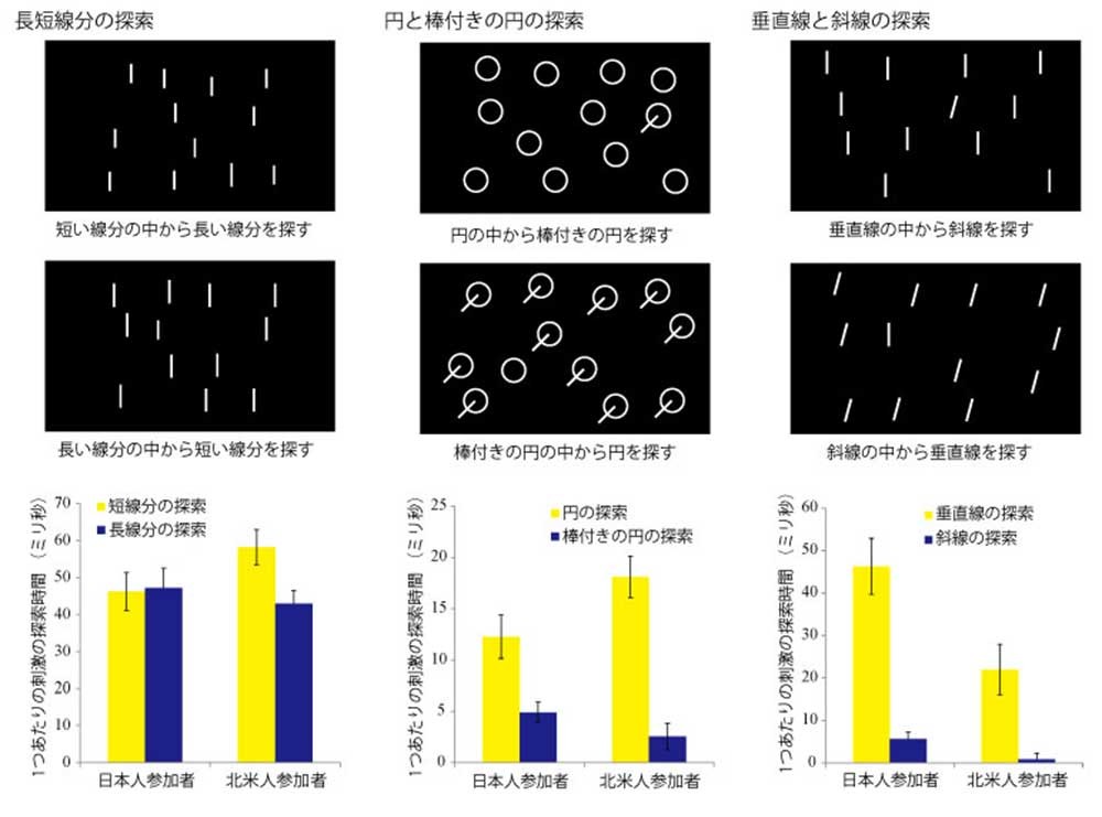 日本人と北米人、視覚認知に差異　文化の違いが影響