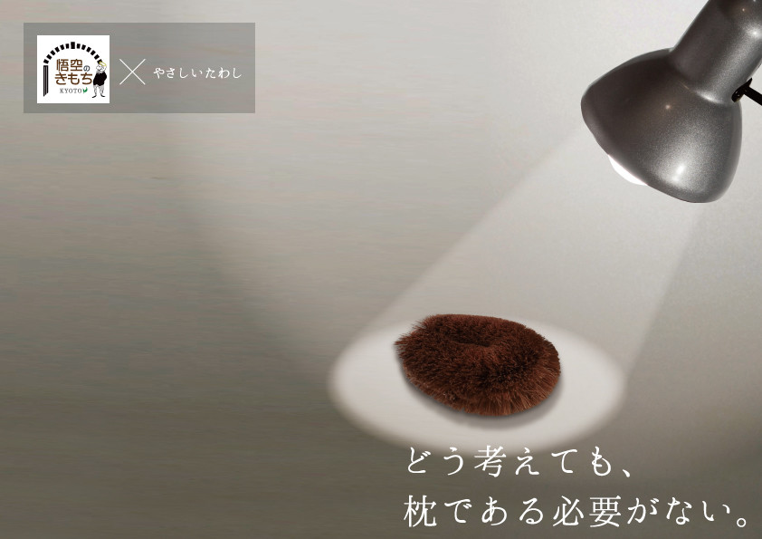 なぜたわしで寝ようと思ったのか
