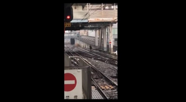 痴漢疑われたら「逃げろ」は正解？ 「線路逃走男」で議論再燃