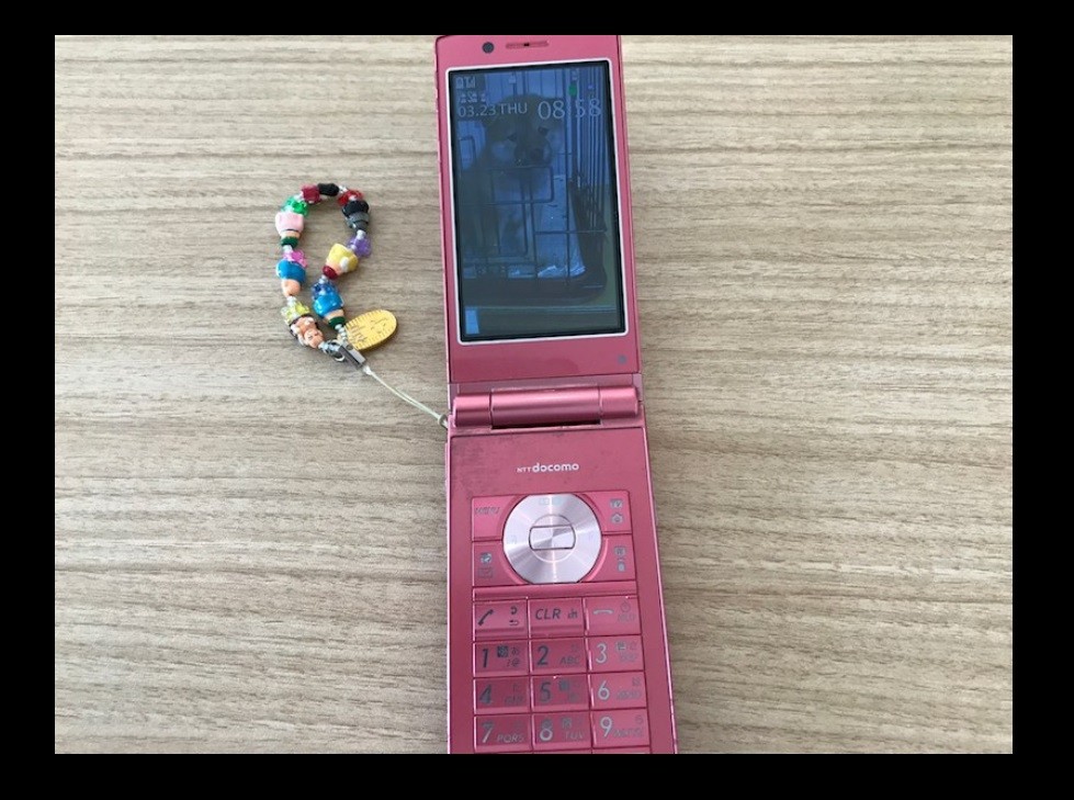 これが籠池夫人の携帯電話なのか（画像は「アキエリークス」より）