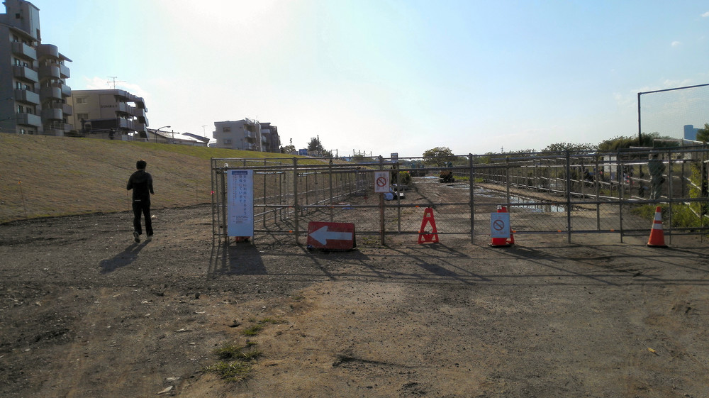 多摩川沿いランニングしただけでけが　「化学やけど」原因と正体に迫る