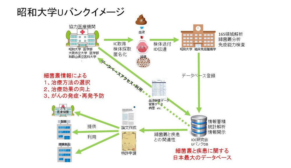 昭和大など「大便バンク」設立　100万人分を集め「最新がん治療」研究