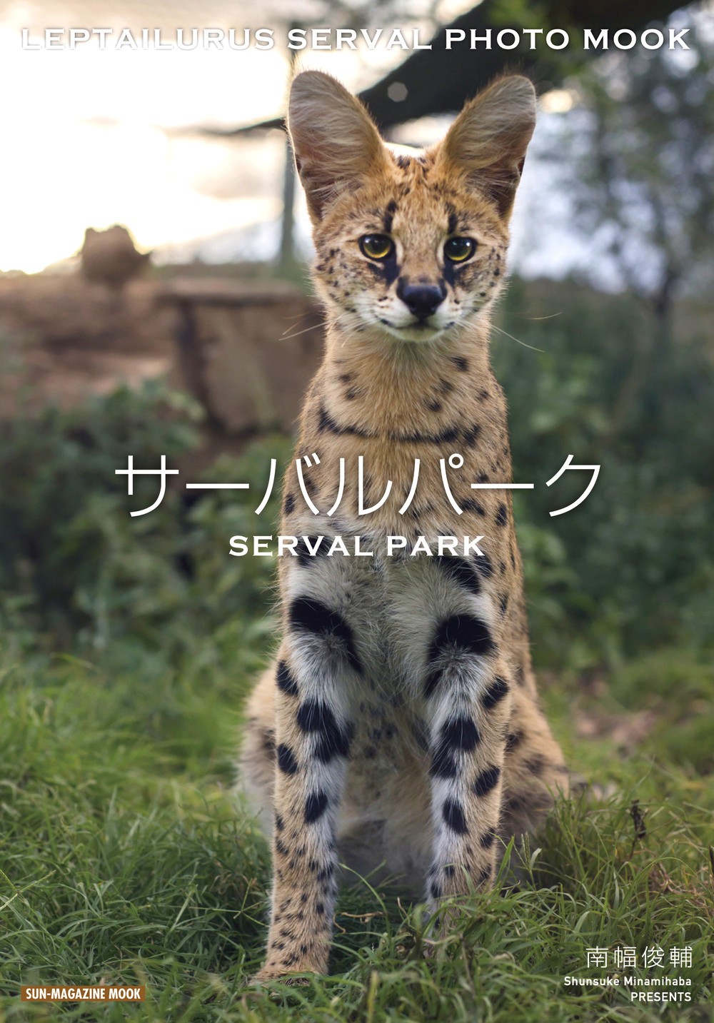 サーバルキャット写真集の出版社に質問　「けもフレ」ファン狙い？