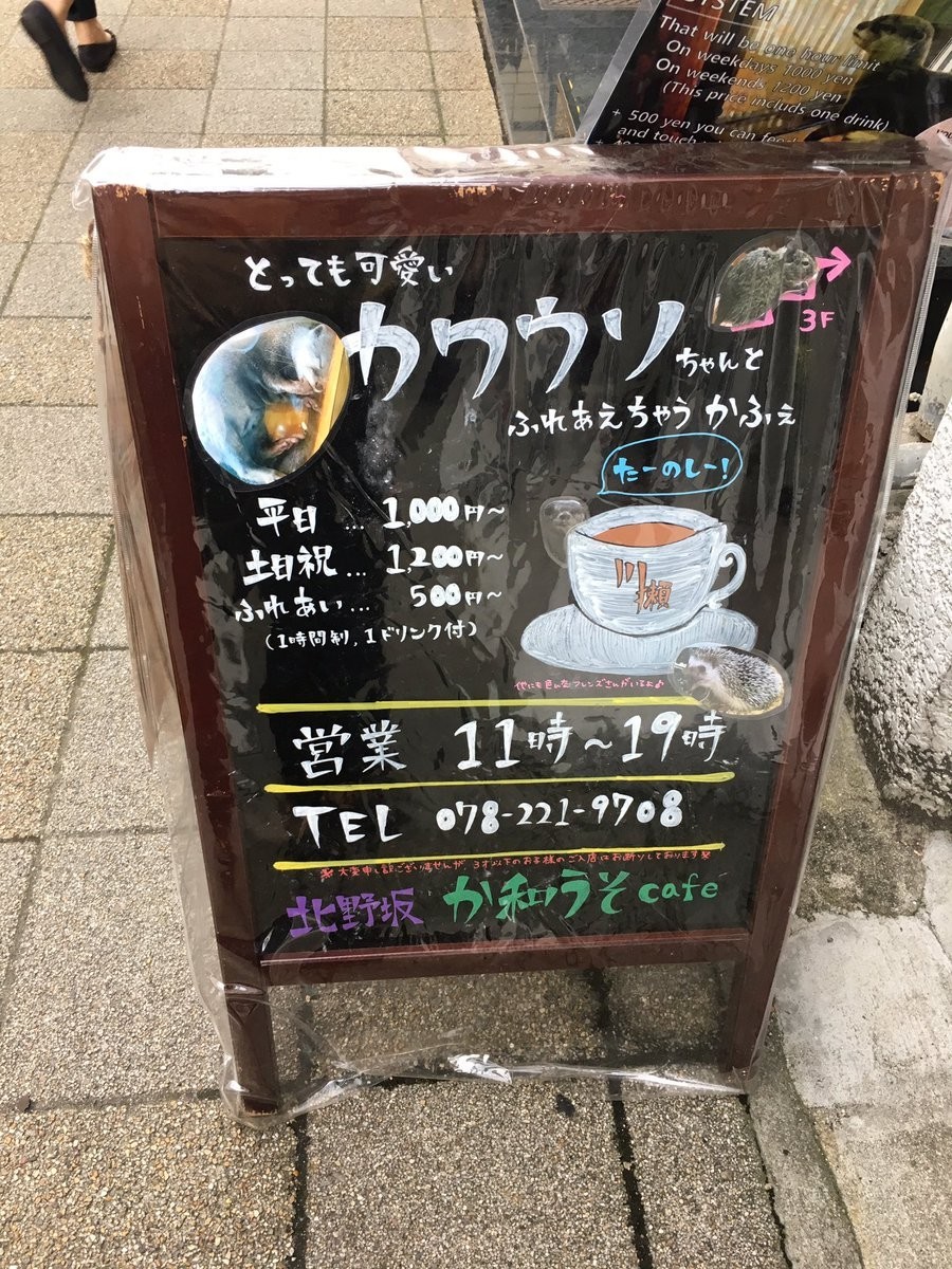 店先の看板（写真提供：Nono（＠NO_pico）さん）