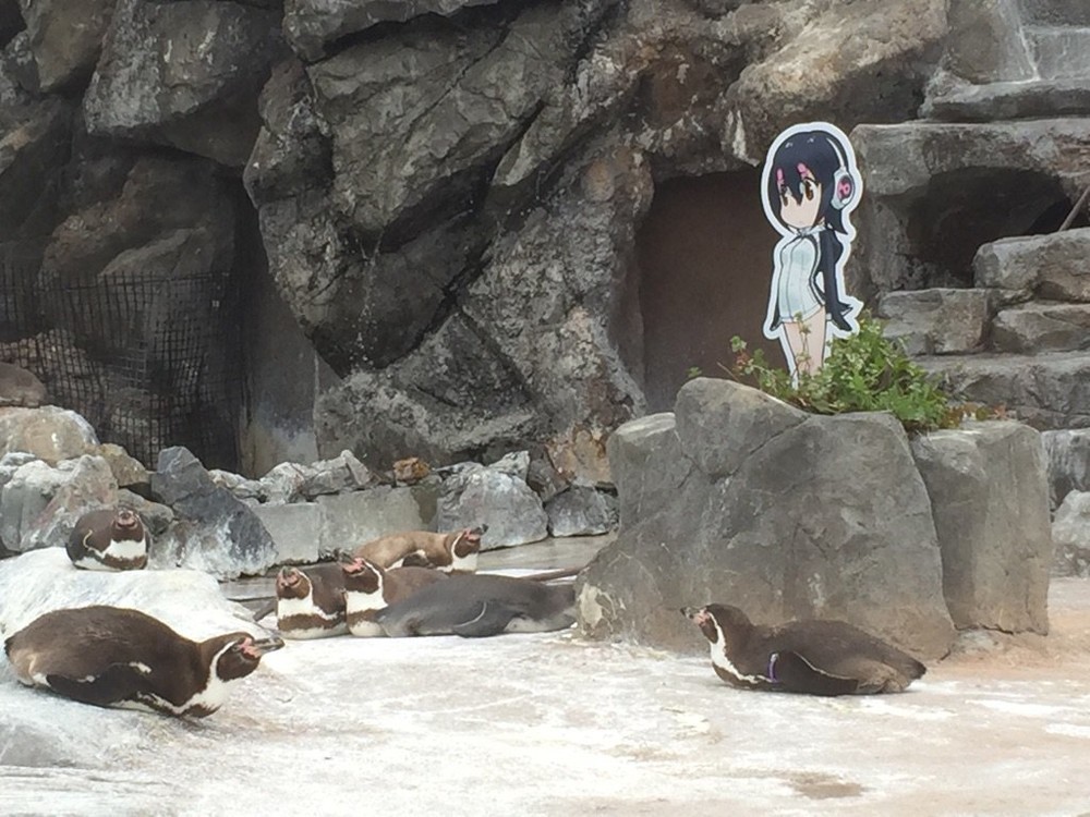 パネルの目の前でごろり（東武動物公園提供）
