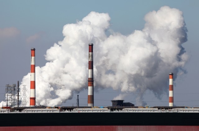 PM2.5の健康被害はビタミンBで防げる　汚染空気を吸い込む「人体実験」で立証