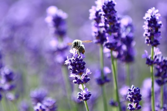 衝撃！女性の「加齢臭」は30代から　気づかない体臭の解決テクニック（後編）