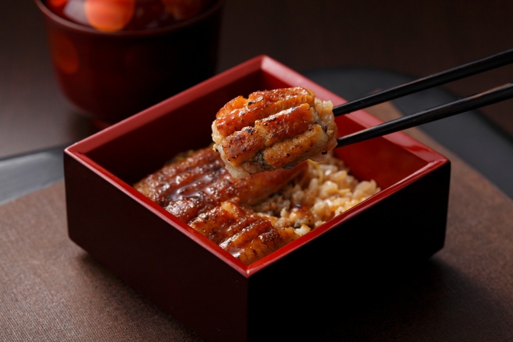 摂食回復支援食「愛知県三河一色産うな重」を限定発売