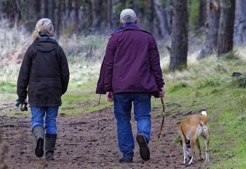 老いては犬に従え!? 一緒にいれば推奨運動量を軽くクリア