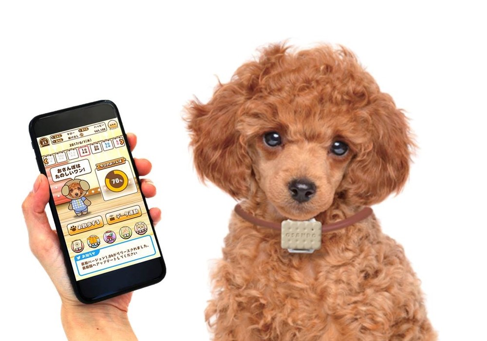犬専用ウェアラブル端末「いぬのきもち お散歩Time」秋に発売