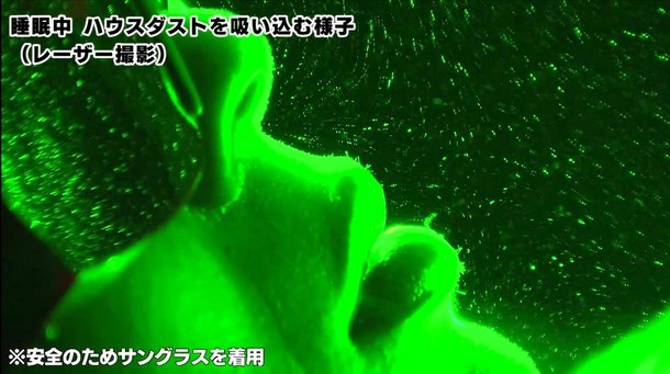 衝撃のダニ動画、こんなに家の中に!?　睡眠中も吸い込むハウスダスト可視化