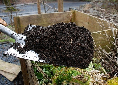 ガーデニングにレジオネラ感染のリスク