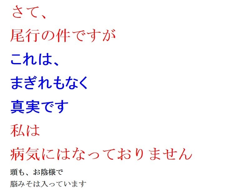 病気説を否定（画像はブログのスクリーンショット）