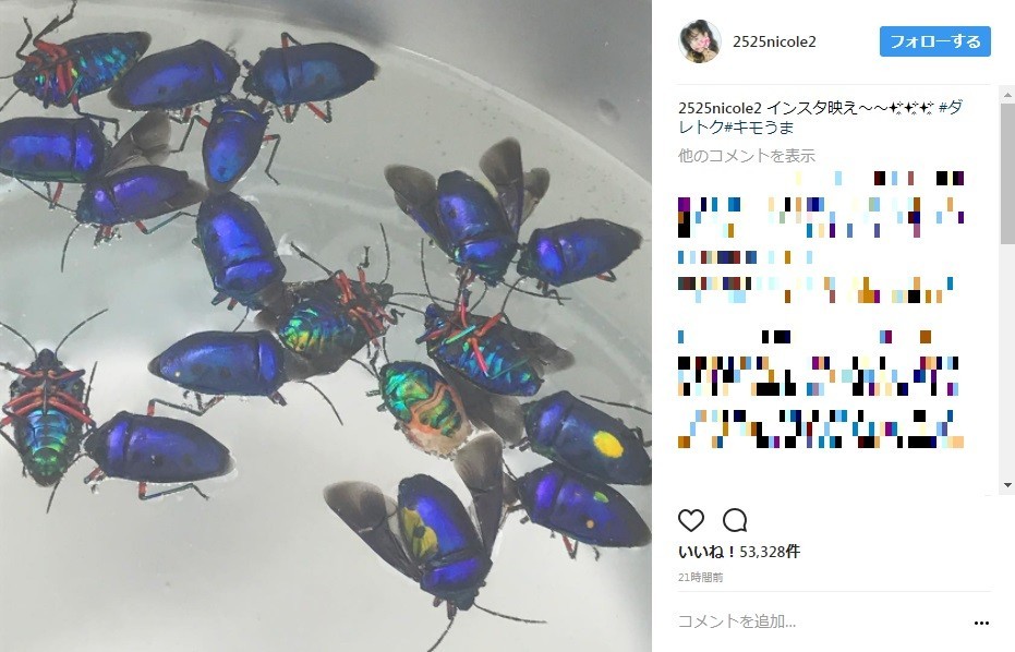 インスタ映え 次の人気は 虫 カラフルでキラキラ