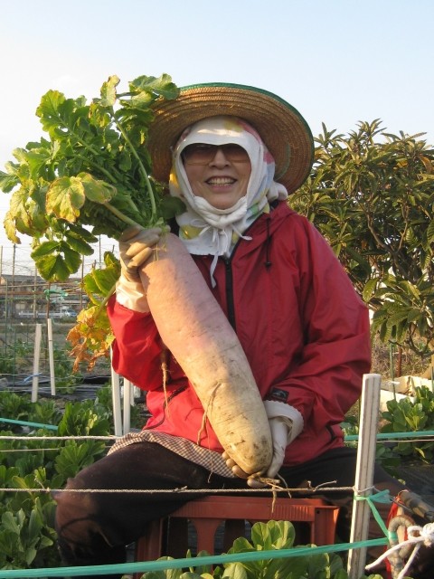 農業は健康長寿で「ピンピンコロリ！」　高齢者の望ましい生き方の理由