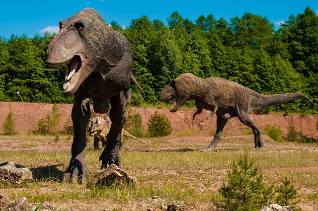 ティラノサウルスの最高速度に新説　時速20キロが現実的に到達可能な速度か