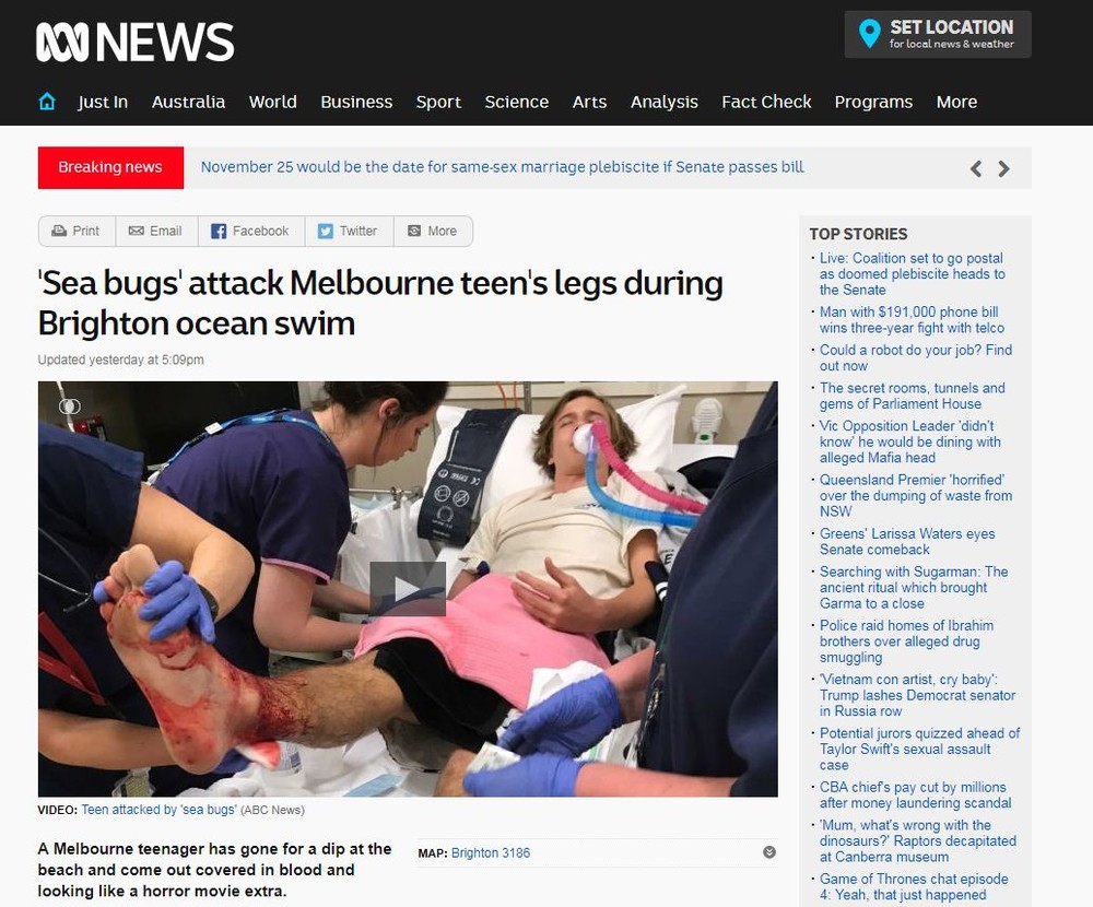 海に足をつけていたら穴だらけで出血！　豪少年、微小な甲殻類に足を食べられる