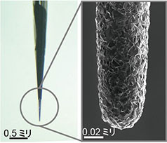 薬の効き目がすぐわかる画期的センサー　新潟・慶応・東京大チームが世界初の開発
