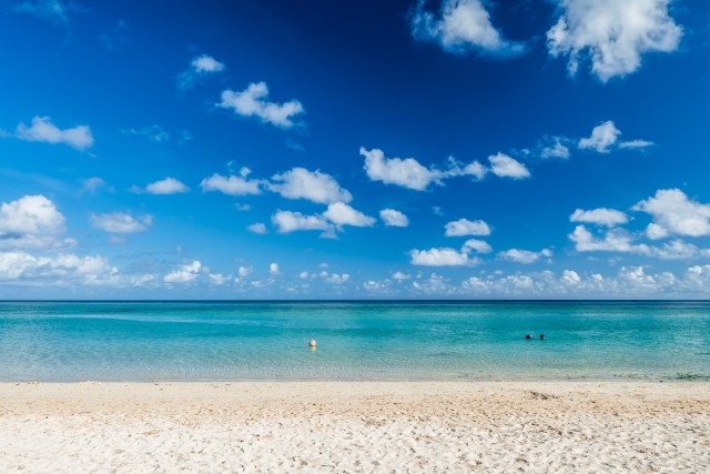 「LGBT」に当てはまらない苦しみ乗り越え　「Xジェンダー」の私が生きる道