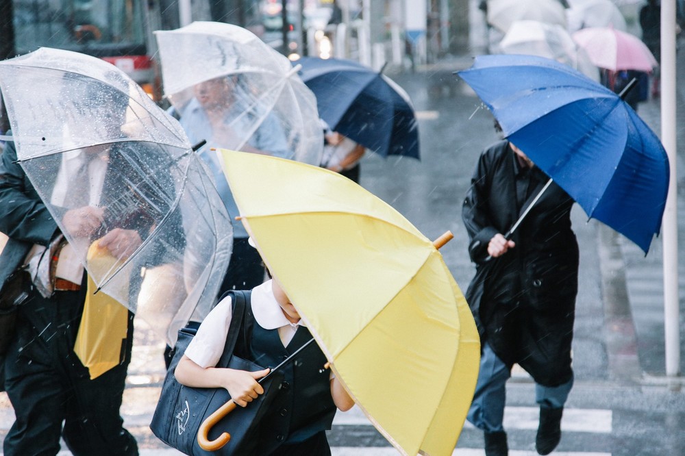 「20日間連続雨」東京都民の憂うつ　日照不足と低気圧がもたらす体調不良