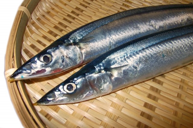 青魚を食べるとてんかん発作の予防に　魚油「DHA」の健康効果がスゴすぎ！