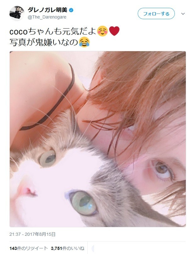 猫はそっぽを向いているが・・・（画像は公式ツイッターのスクリーンショット）