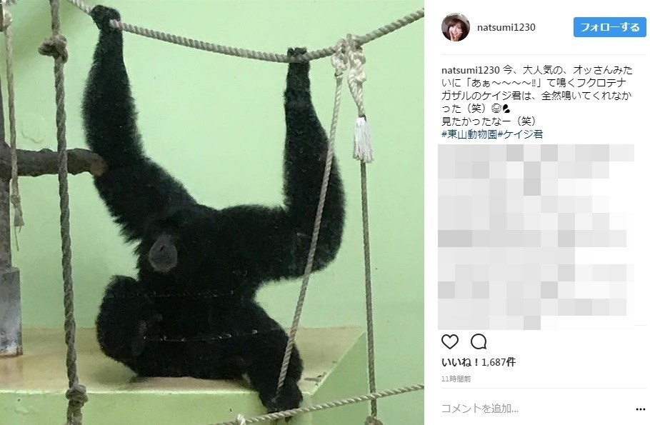 鳴き声がおっさんみたいな「ケイジくん」（写真は公式インスタグラムより）