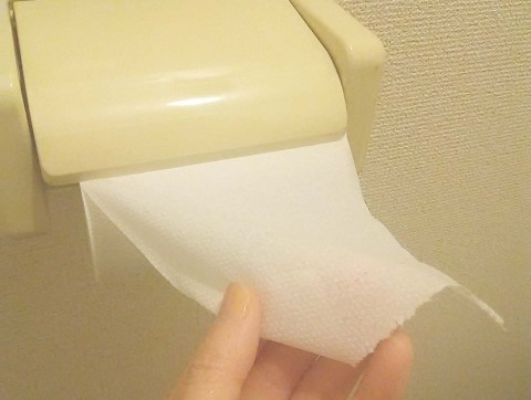 TOKIOも興味津々のトイレ事情　ペーパーは巻く？畳む？それとも...