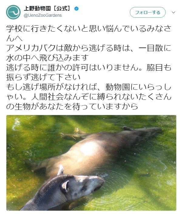 上野動物園が投稿したメッセージ（ツイッターより）
