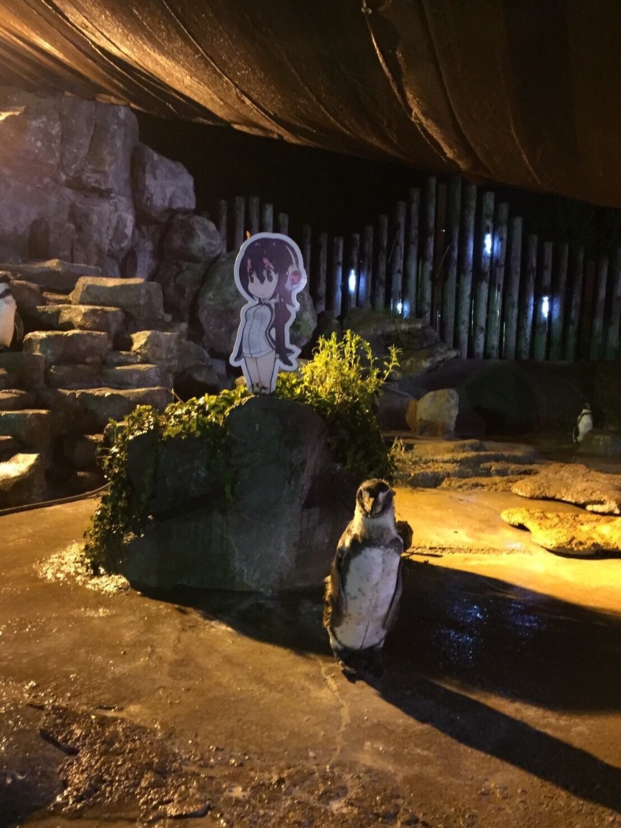 「けもフレ」パネルに恋したペンギン　東武動物公園がコラボ終了後に「神対応」