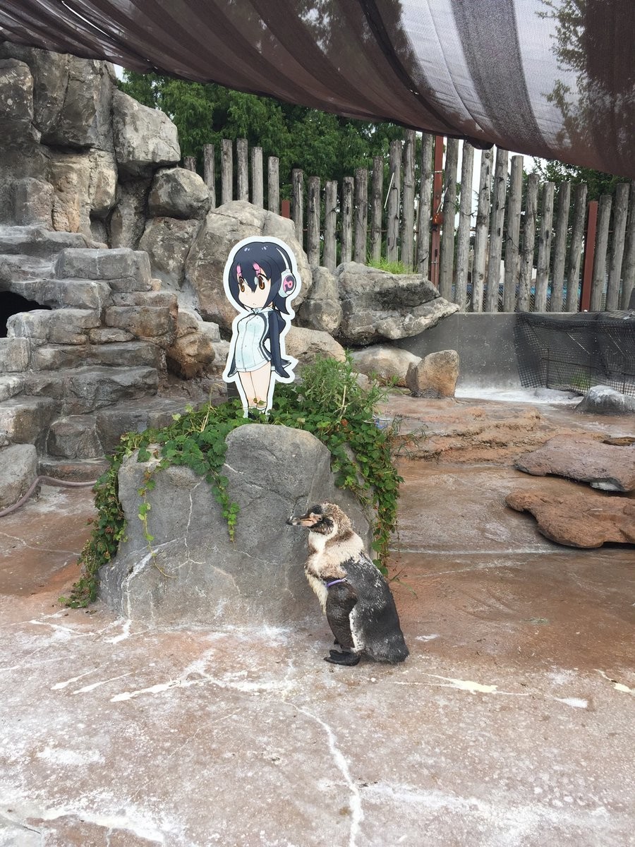 パネルの方へ寄り添っているようにも見える？（同）