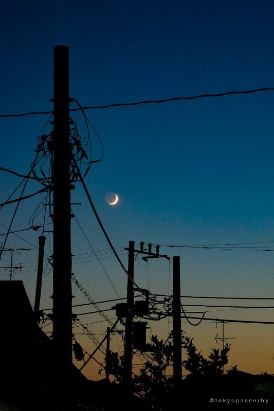 「tokyopasserby」（＠tokyopasserby）さんの写真。三日月と電線のコントラスト