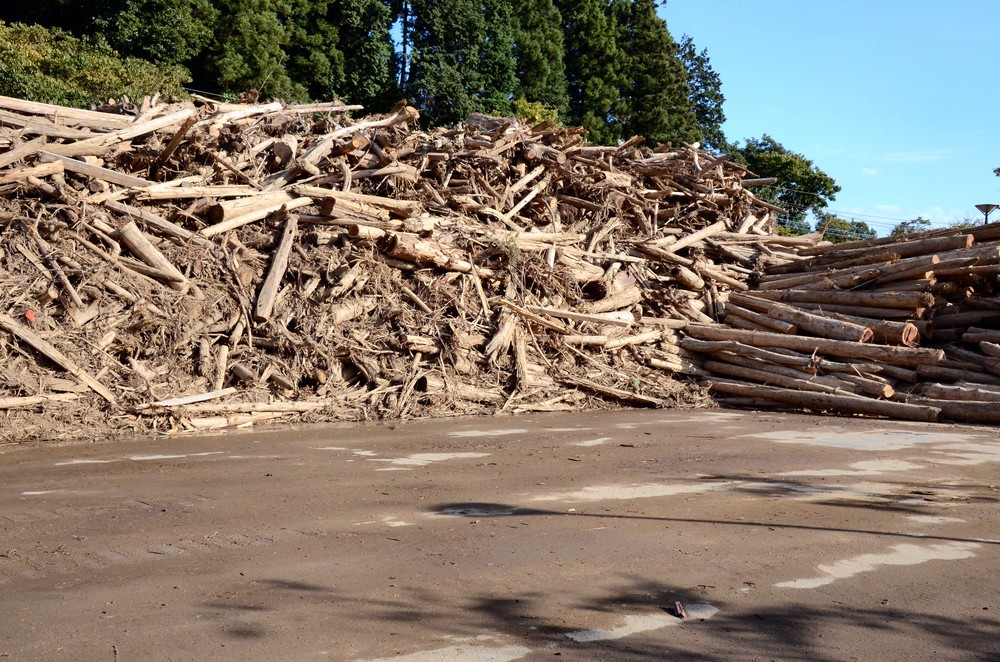 うず高く積まれた流木だが、処理されたのはごく一部にすぎない
