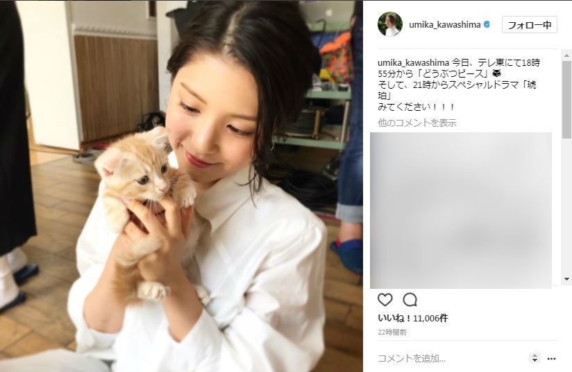 川島さんと子猫のツーショット（画像は川島さんのインスタグラムより）
