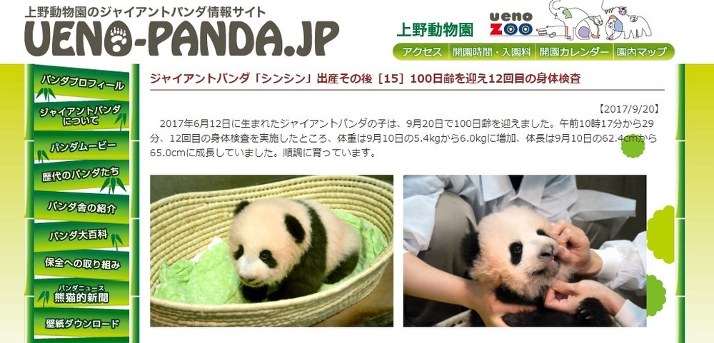 100日齢を迎えた赤ちゃんパンダの名前が「香香」に決まった（画像は上野動物園ジャイアントパンダ情報サイトより）
