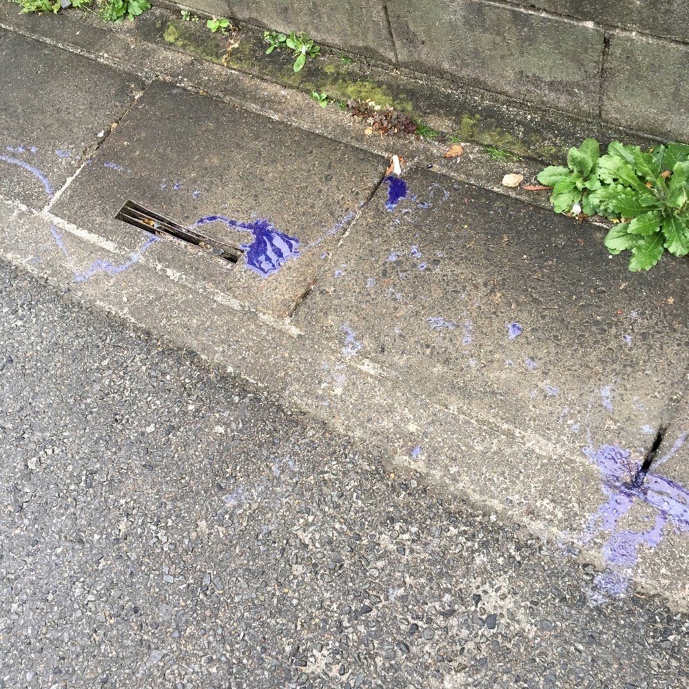 ぽんてり（＠naka38383）さんの写真。ハッシュタグの発案者「鈴木以外数人」さんが「僕的1位」に選んだ
