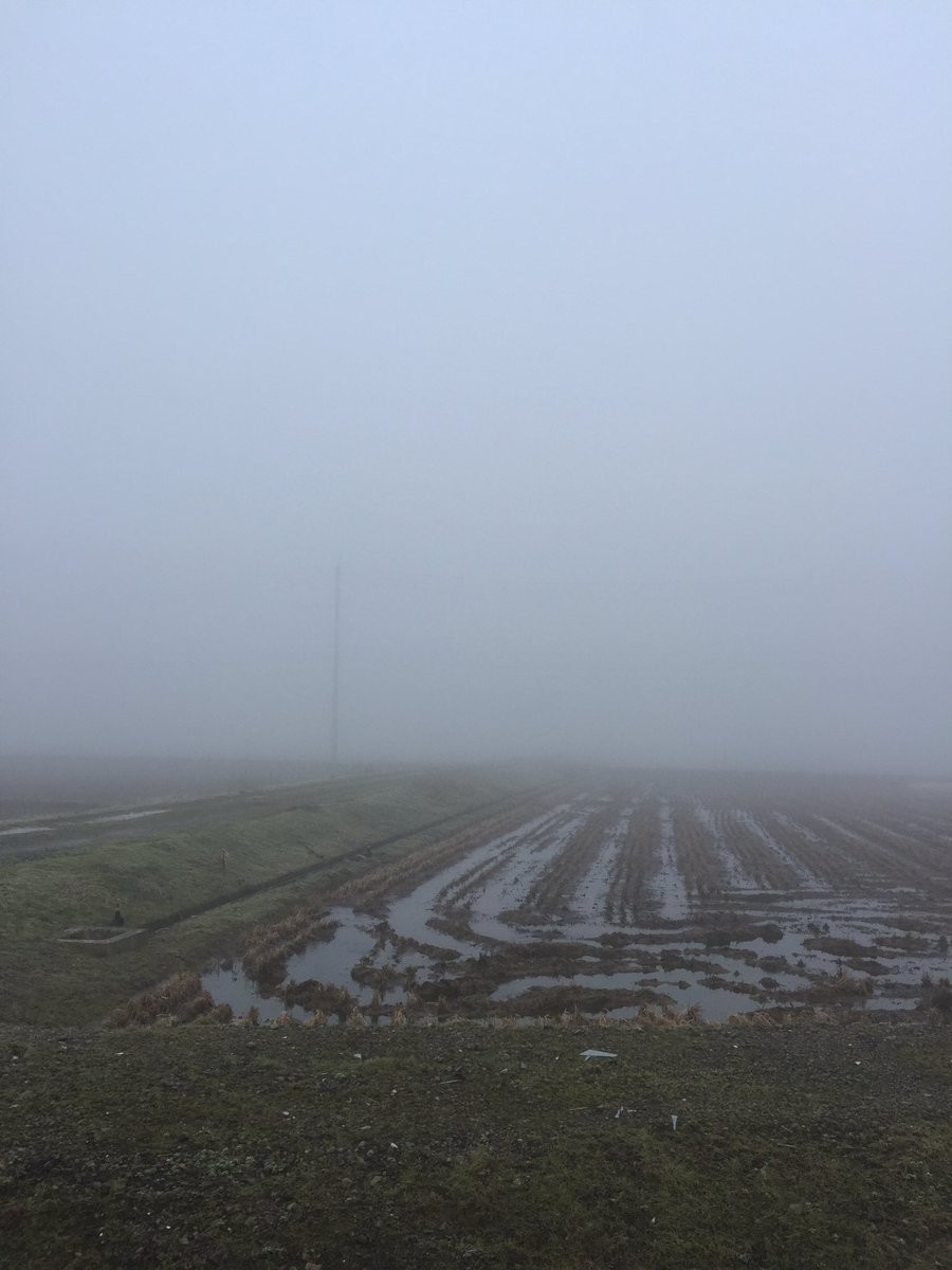 「いわし」（＠strike_iwashi）さんの写真。「鈴木以外数人」さんがお気に入りの写真として挙げている