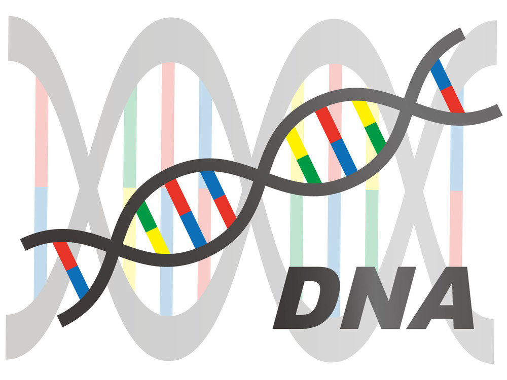 がんが治る時代もうすぐかも　実用間近「ゲノム編集」の最新技術