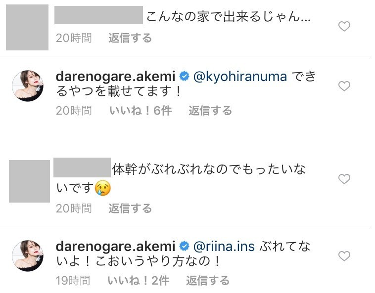 コメント欄で「ツッコミ」に反論するダレノガレさん（画像は公式インスタグラムのスクリーンショット）