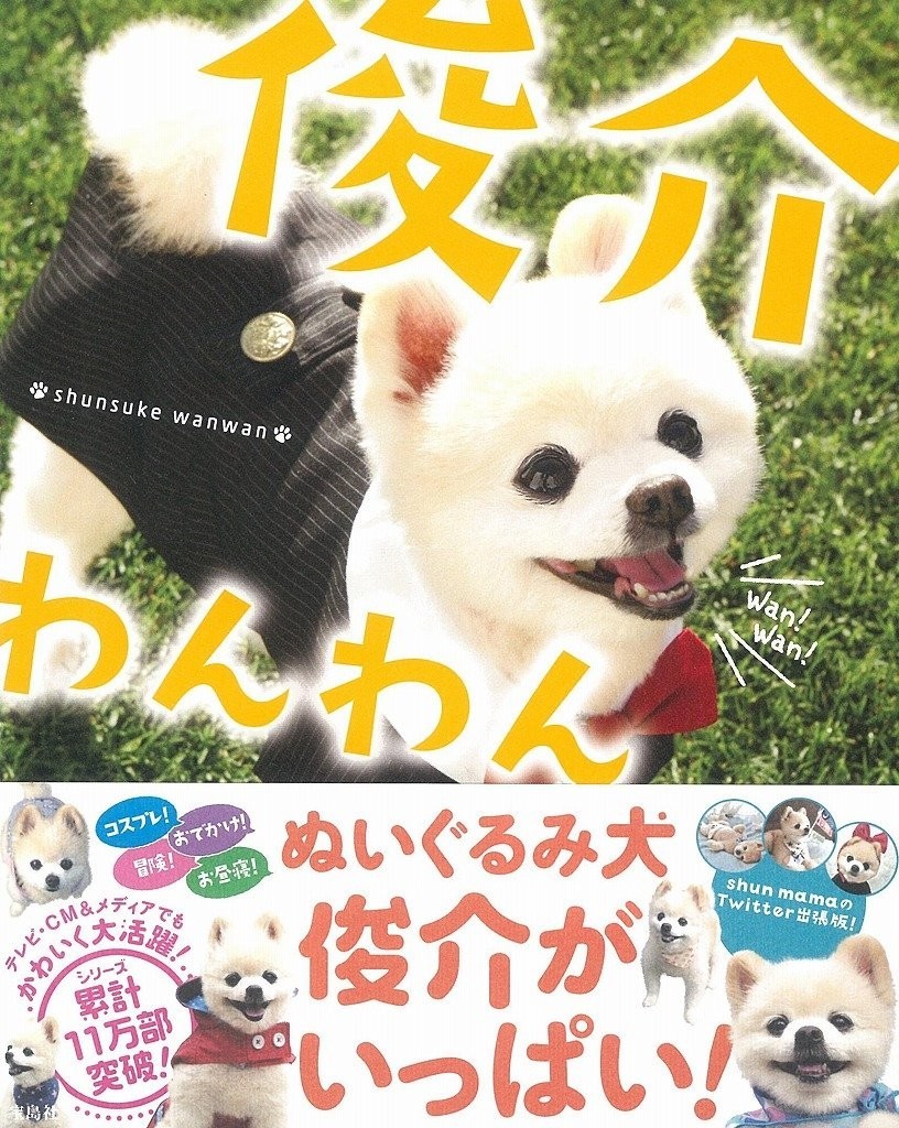 アイドル犬「俊介くん」の死に「涙が止まらない」　「たくさんの癒しをありがとう」と感謝も